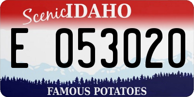 ID license plate E053020