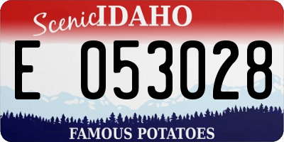 ID license plate E053028