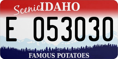 ID license plate E053030