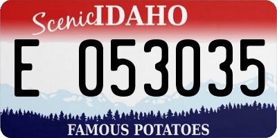 ID license plate E053035