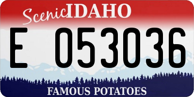 ID license plate E053036