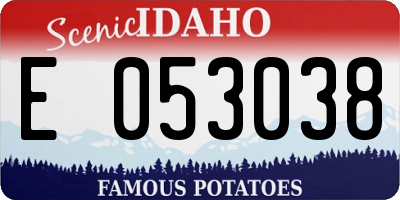 ID license plate E053038