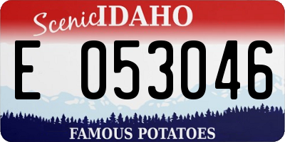 ID license plate E053046