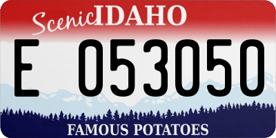 ID license plate E053050