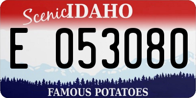 ID license plate E053080