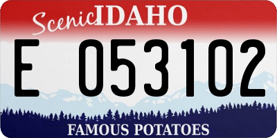 ID license plate E053102