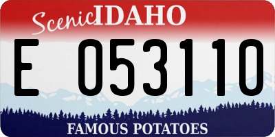 ID license plate E053110