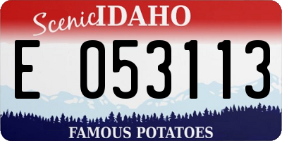 ID license plate E053113