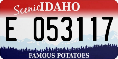 ID license plate E053117