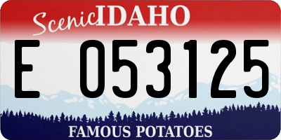 ID license plate E053125