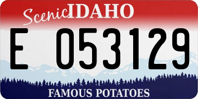 ID license plate E053129
