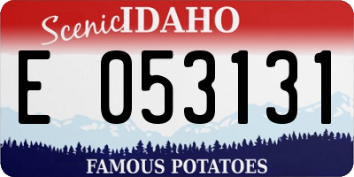 ID license plate E053131