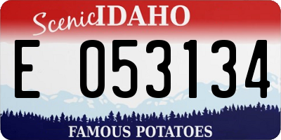 ID license plate E053134