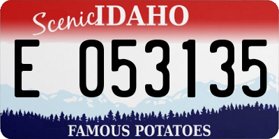 ID license plate E053135