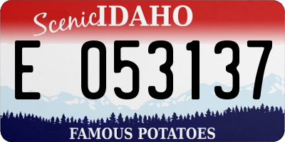 ID license plate E053137