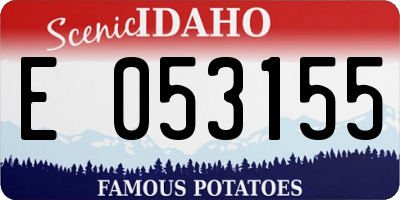 ID license plate E053155