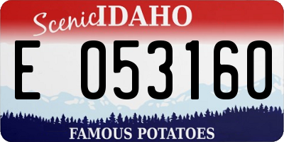 ID license plate E053160