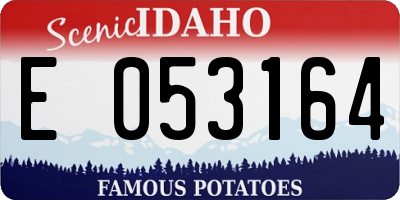 ID license plate E053164