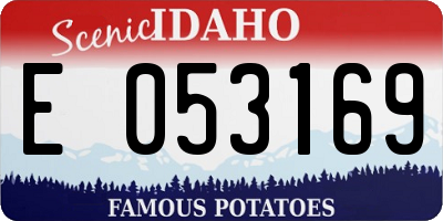 ID license plate E053169