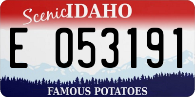 ID license plate E053191