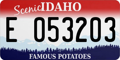 ID license plate E053203
