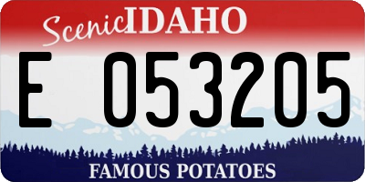 ID license plate E053205