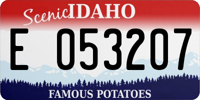 ID license plate E053207