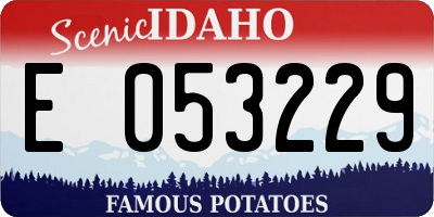 ID license plate E053229