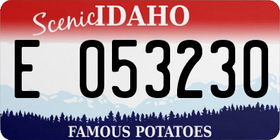 ID license plate E053230
