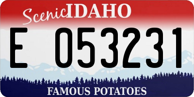 ID license plate E053231