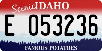 ID license plate E053236