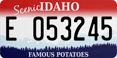 ID license plate E053245