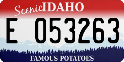 ID license plate E053263