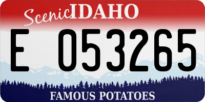 ID license plate E053265