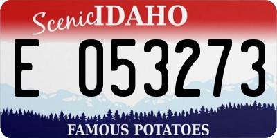 ID license plate E053273