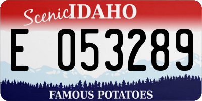 ID license plate E053289