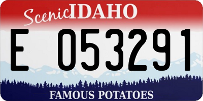 ID license plate E053291