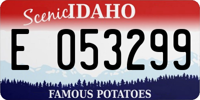 ID license plate E053299