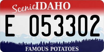 ID license plate E053302