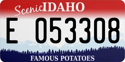 ID license plate E053308