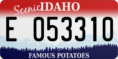 ID license plate E053310