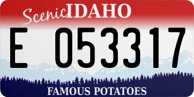 ID license plate E053317
