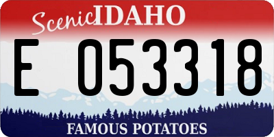 ID license plate E053318