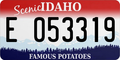 ID license plate E053319