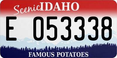 ID license plate E053338