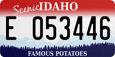 ID license plate E053446