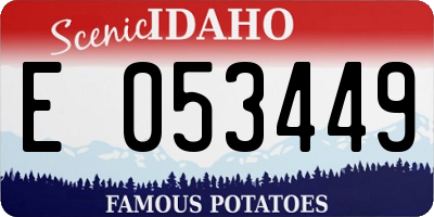 ID license plate E053449