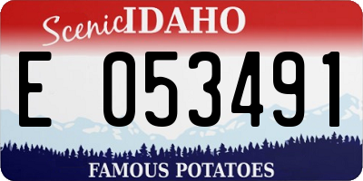 ID license plate E053491