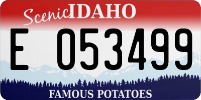 ID license plate E053499