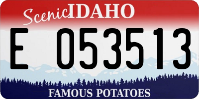 ID license plate E053513